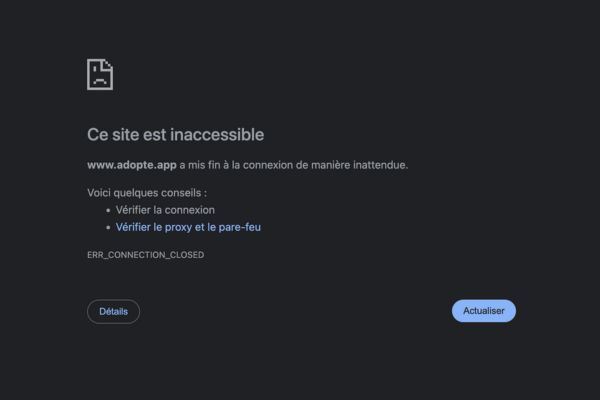 erreur de chargement du site adopte app